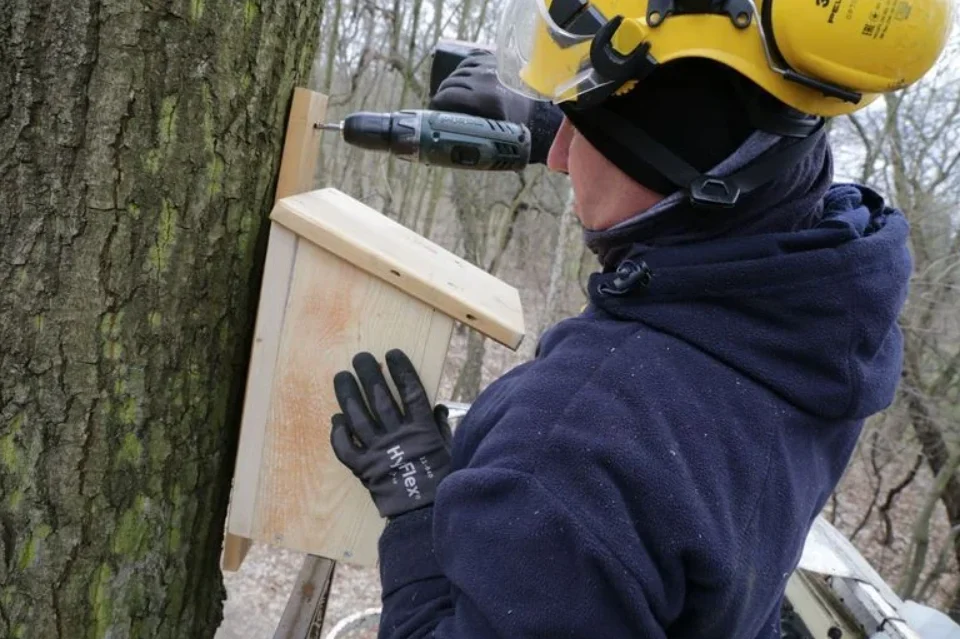 Budki lęgowe dla ptaków. Wykonanie uczniów z Rybnika
