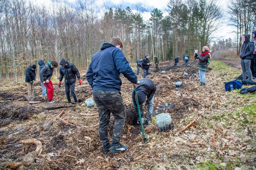 PGE GiEK posadziła 1000 nowych drzew na terenie Nadleśnictwa Rybnik