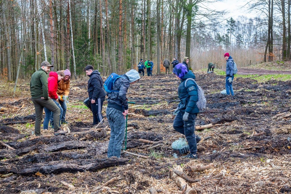 PGE GiEK posadziła 1000 nowych drzew na terenie Nadleśnictwa Rybnik