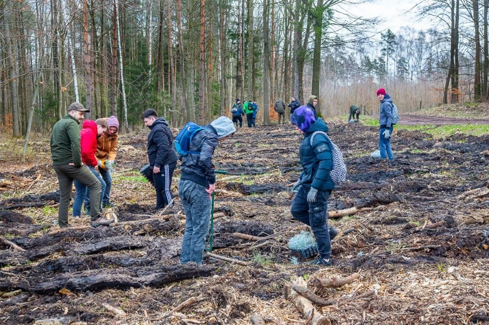 PGE GiEK posadziła 1000 nowych drzew na terenie Nadleśnictwa Rybnik