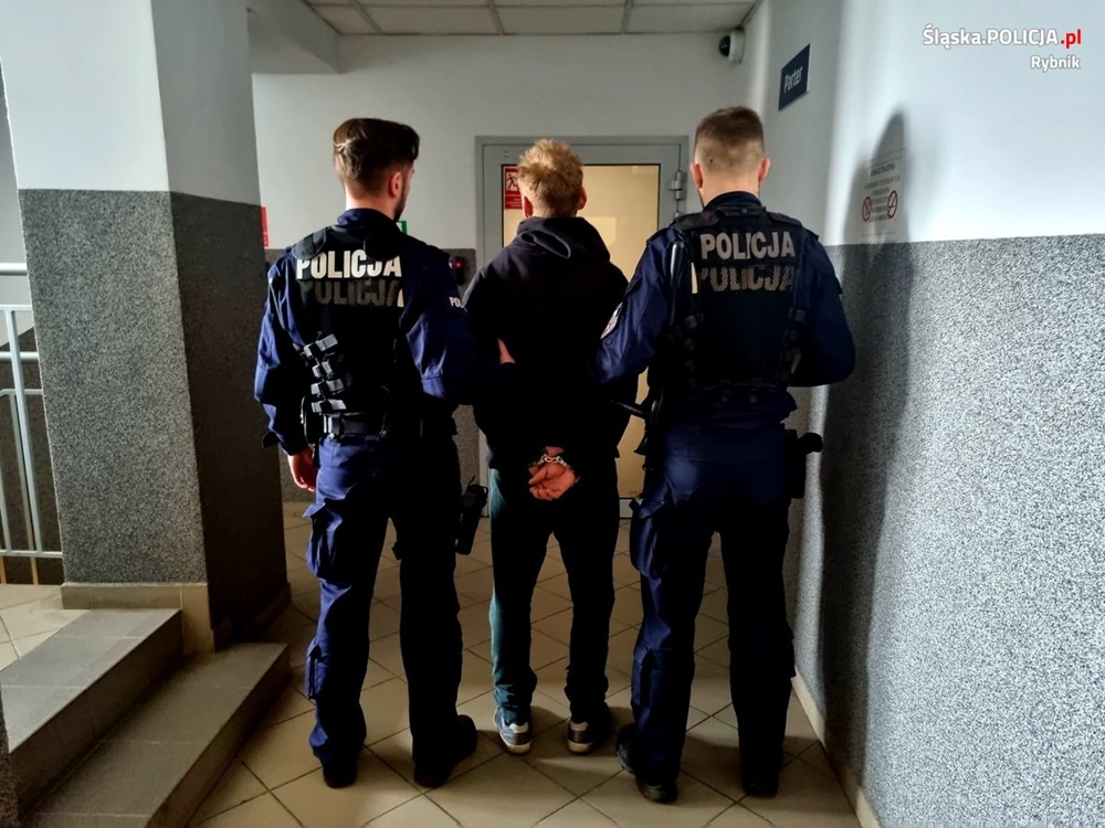 Rybnik: Pijany spowodował kolizję. Odpowie za znieważenie i atak na policjanta