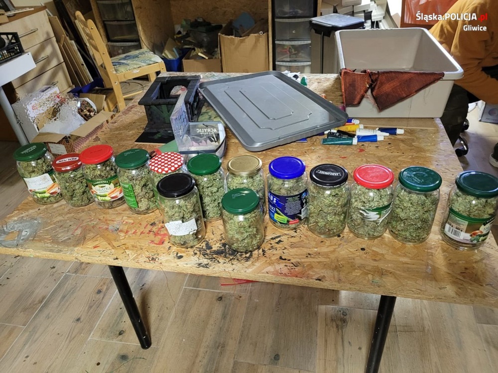 Kolejne zatrzymania osób z narkotykami. Gliwiccy policjanci nie zwalniają