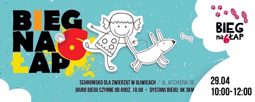 "Bieg na 6 łap" w Gliwicach. Poznaj psy z miejskiego schroniska!