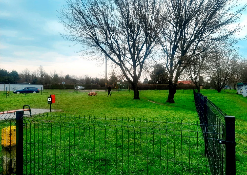 Aktywność dla każdego! Dwa kolejne miejsca aktywnego wypoczynku w Gliwicach