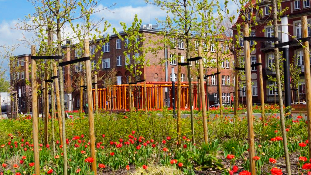 Czas tulipanów w Gliwicach. Jest gdzie wypoczywać!