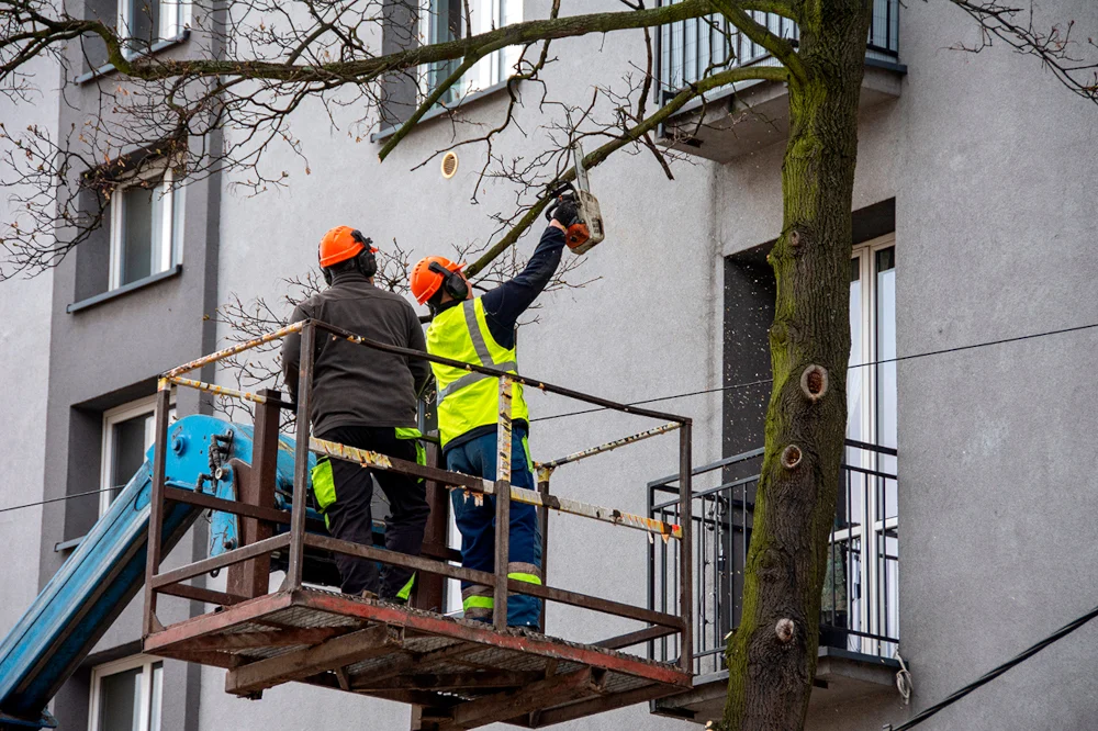 Prezydent Bytomia spotkał się z mieszkankami, by porozmawiać o wycince na ul. Piekarskiej