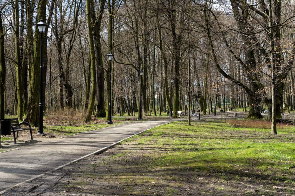 Bytom: Prace przy montażu oświetlenia, budowie alejek i strefy rekreacji w Parku Ludowym