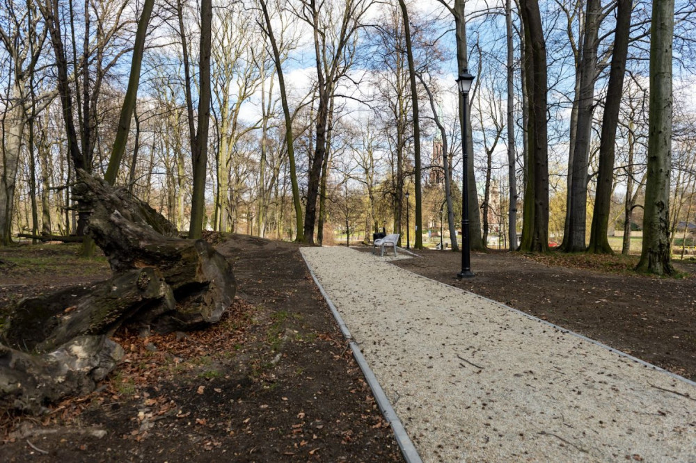 Bytom: Prace przy montażu oświetlenia, budowie alejek i strefy rekreacji w Parku Ludowym