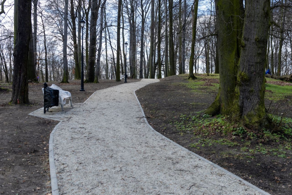 Bytom: Prace przy montażu oświetlenia, budowie alejek i strefy rekreacji w Parku Ludowym