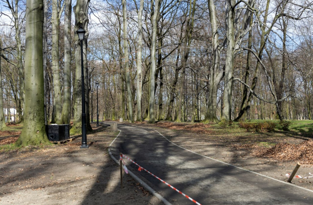 Bytom: Prace przy montażu oświetlenia, budowie alejek i strefy rekreacji w Parku Ludowym