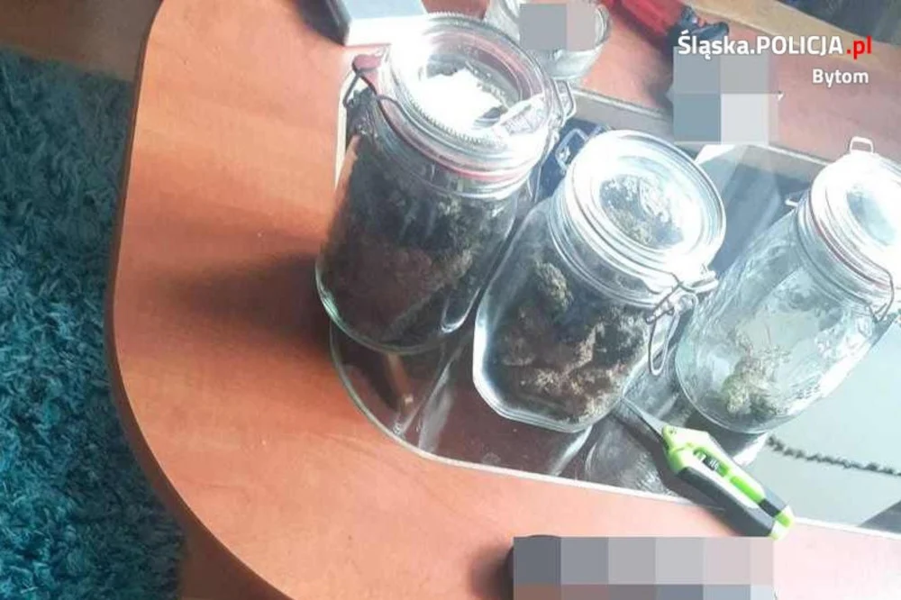 Bytom: Domowa plantacja konopi w Miechowicach. Policja zatrzymała 34-latka