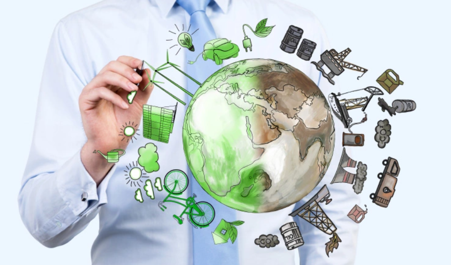 "Zielone Innowacje dla Szkół" w Sosnowcu. Weź udział w konkursie!