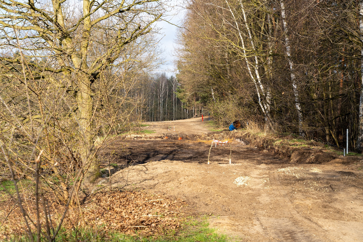 Katowice rewitalizują staw Starganiec