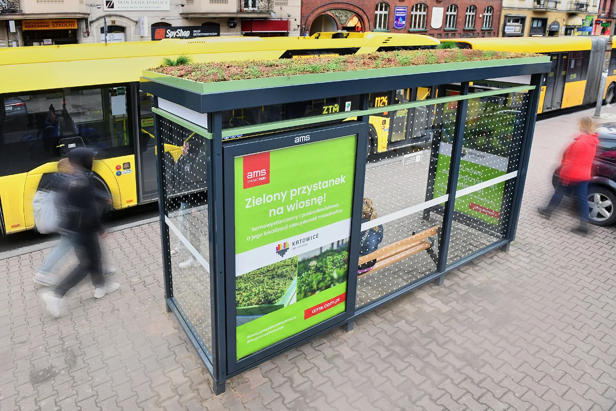 Nowy, zielony przystanek w centrum Katowic