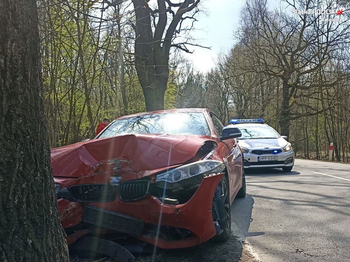 Chcąc ominąć sarnę, uderzył w drzewo