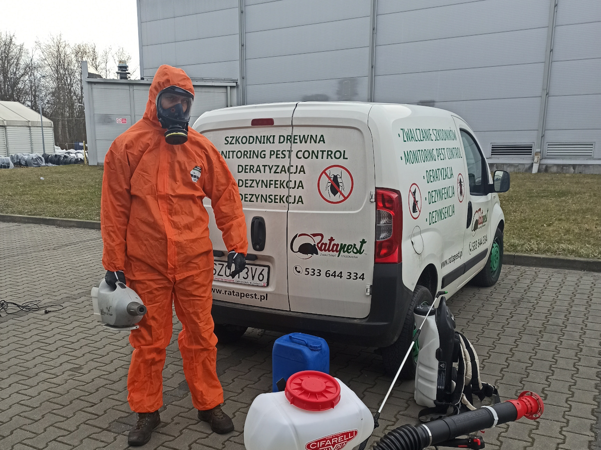 Profesjonalne usługi DDD w Katowicach: dezynsekcja, dezynfekcja, zwalczanie szkodników