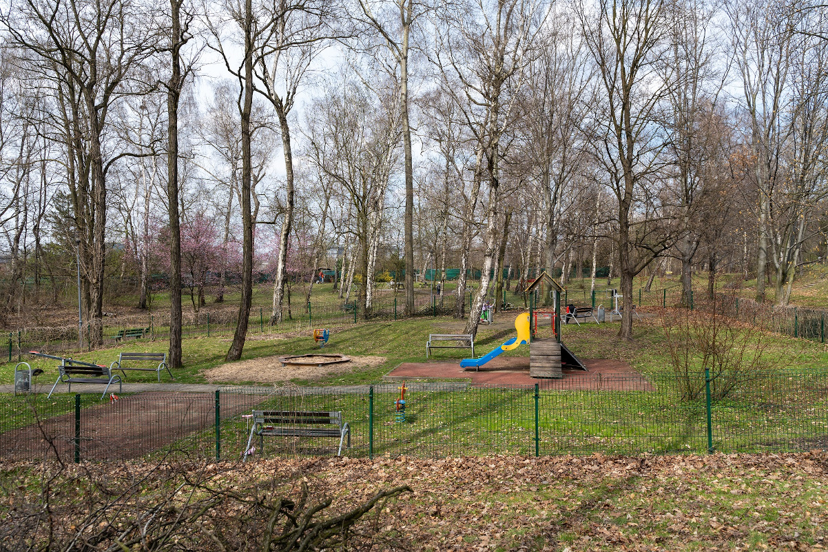 Zaczęły się prace w parku w Wełnowcu