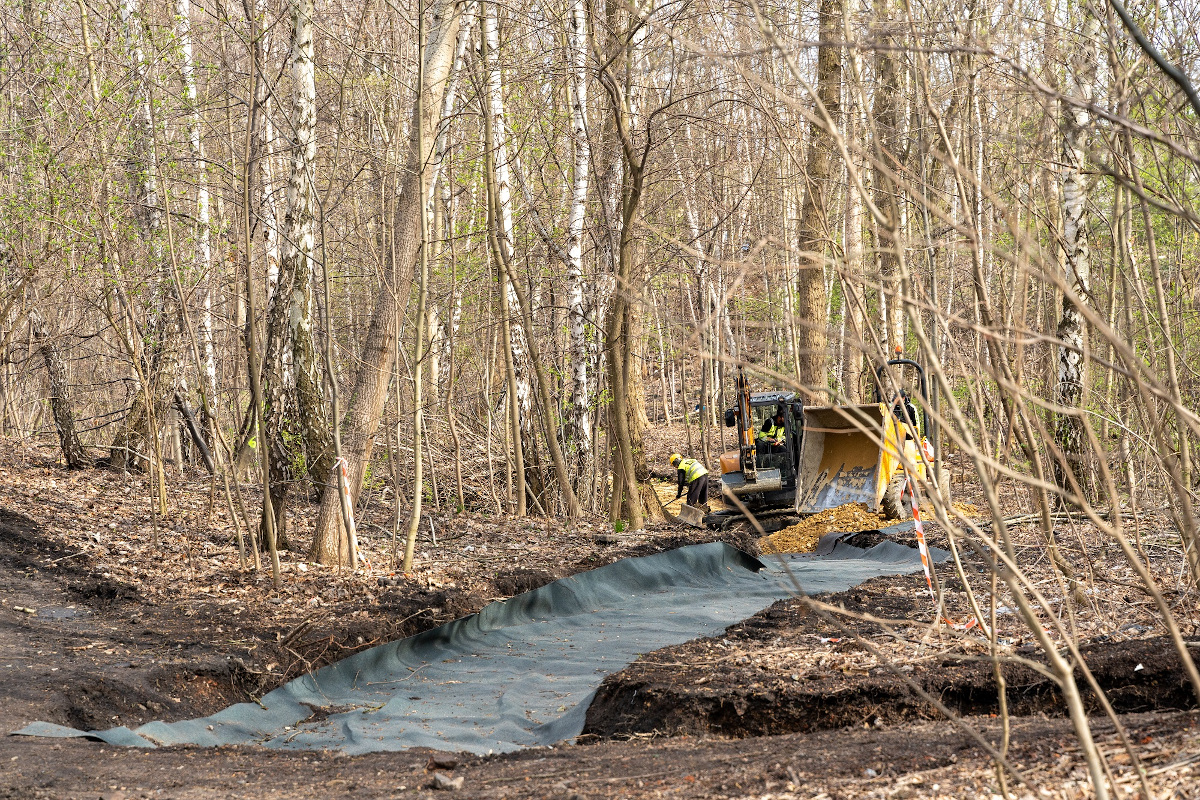 Zaczęły się prace w parku w Wełnowcu