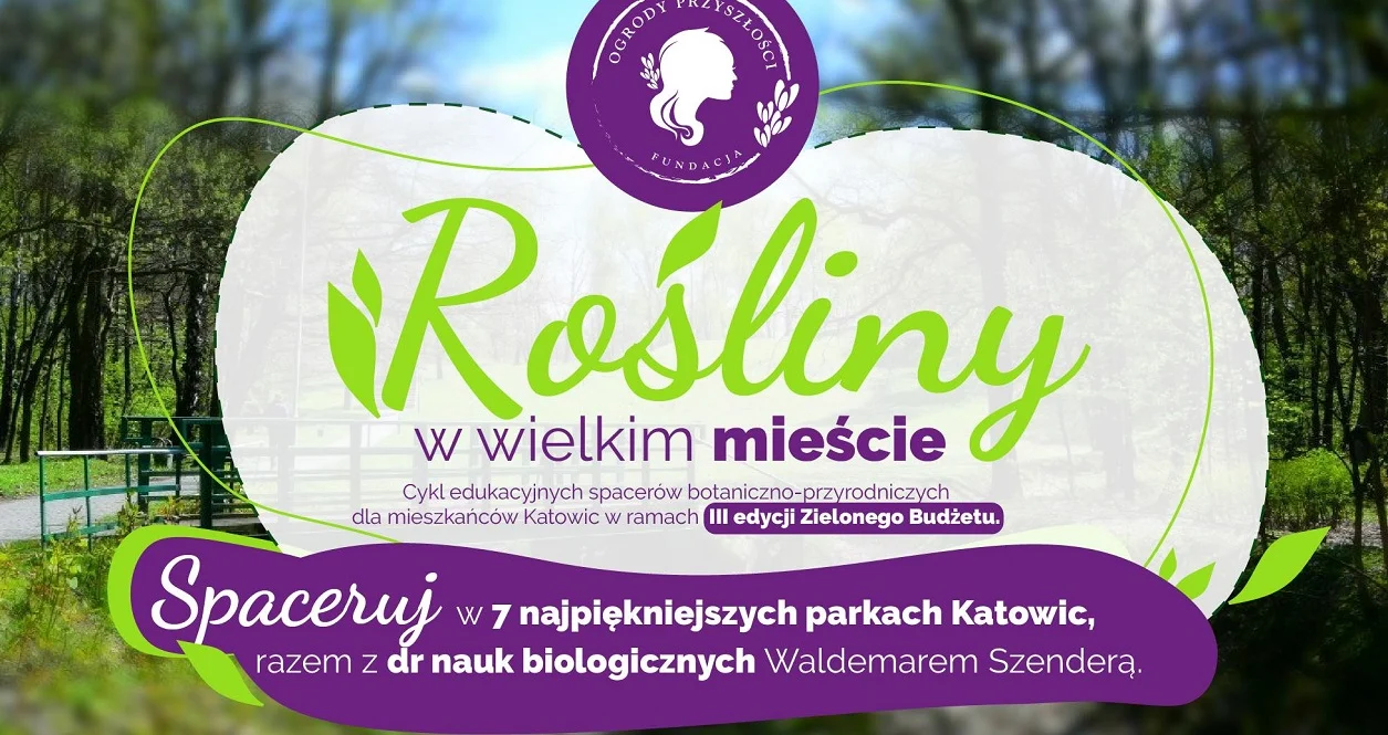 Rośliny w Wielkim mieście, czyli cykl spacerów dla mieszkańców Katowic. Trwają zapisy!