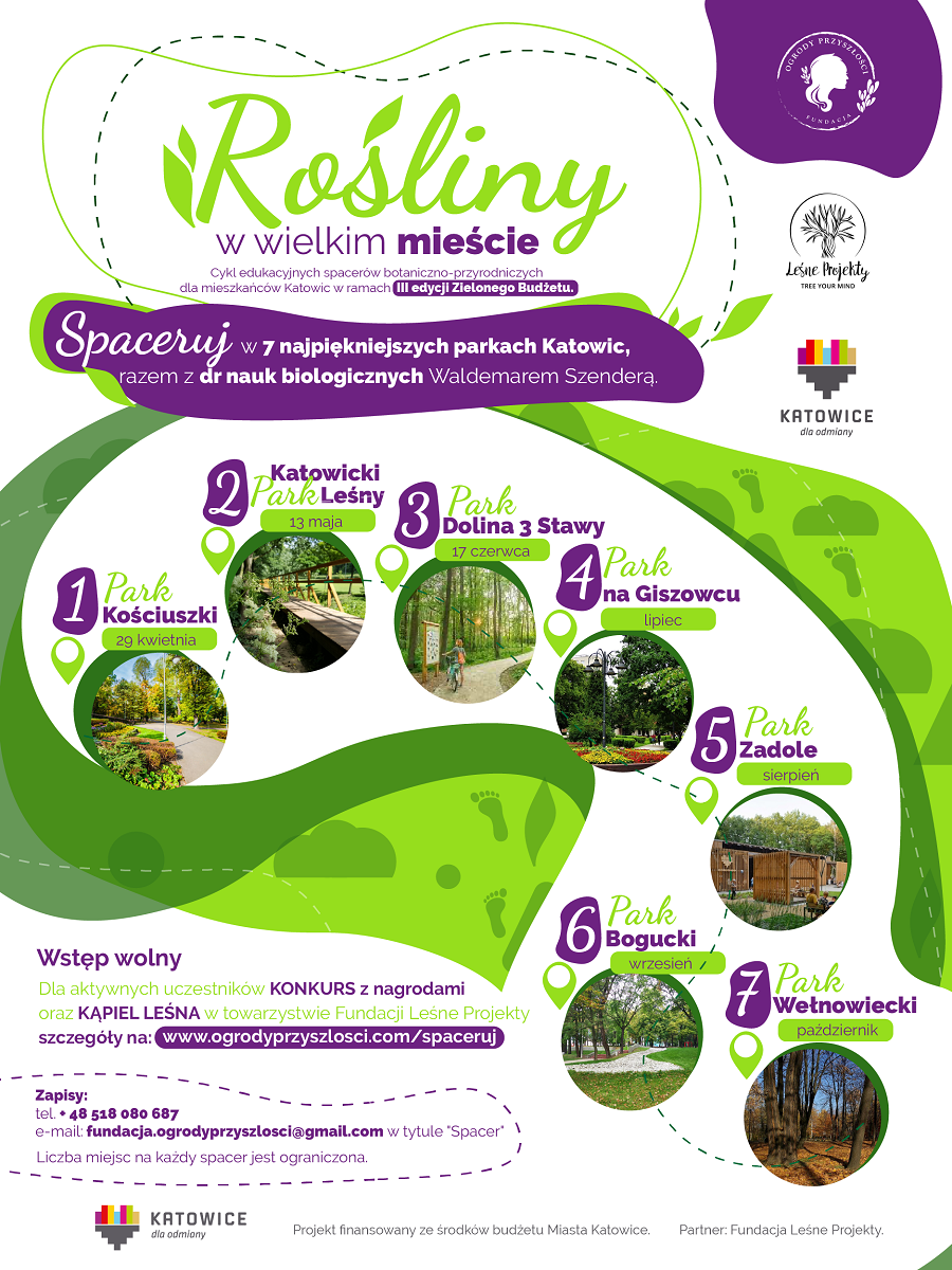 Rośliny w Wielkim mieście, czyli cykl spacerów dla mieszkańców Katowic. Trwają zapisy!