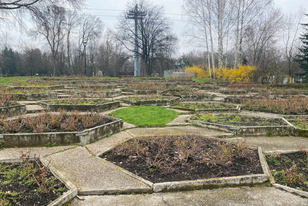 Chorzów: Kiedy ruszy modernizacja Rosarium w Parku Śląskim? Ogród woła o renowację [FOTO]