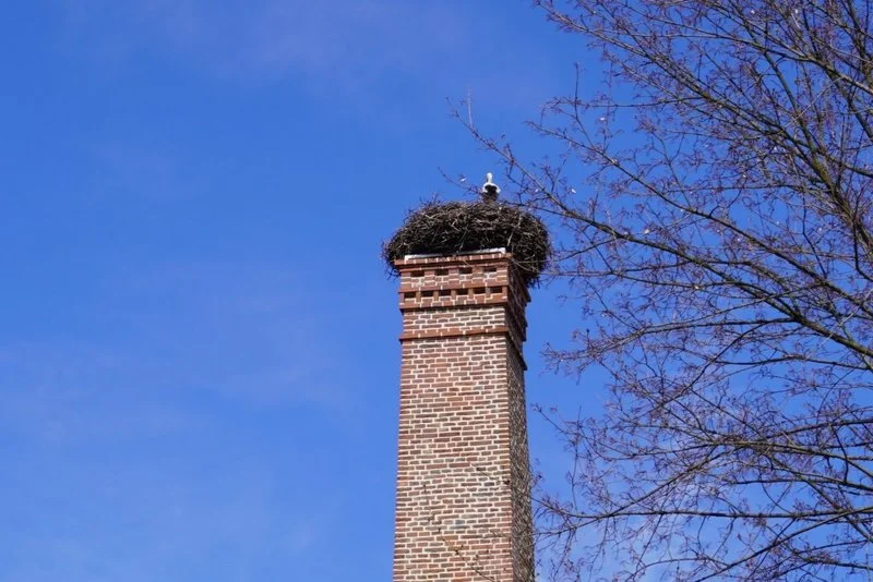 Park w Baranowicach tej wiosny rozkwitnie w wyjątkowym stylu [ZDJĘCIA]