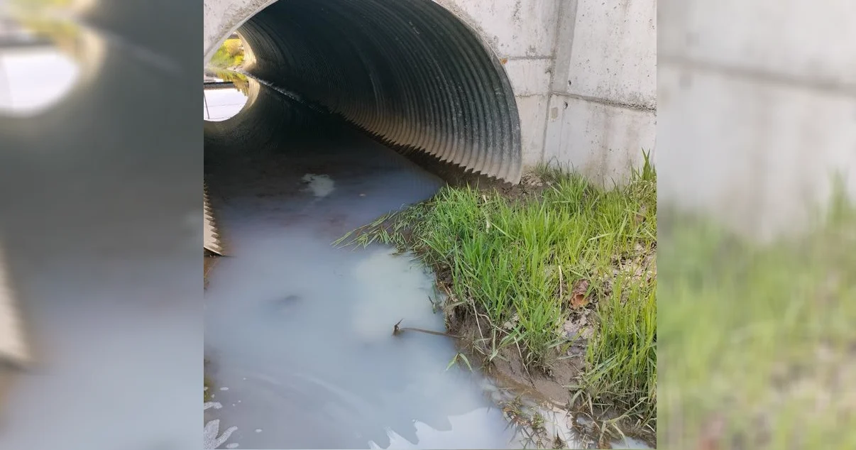 Nieznana substancja w dopływie rzeki Ruda. Pobrano próbki wody do analizy!