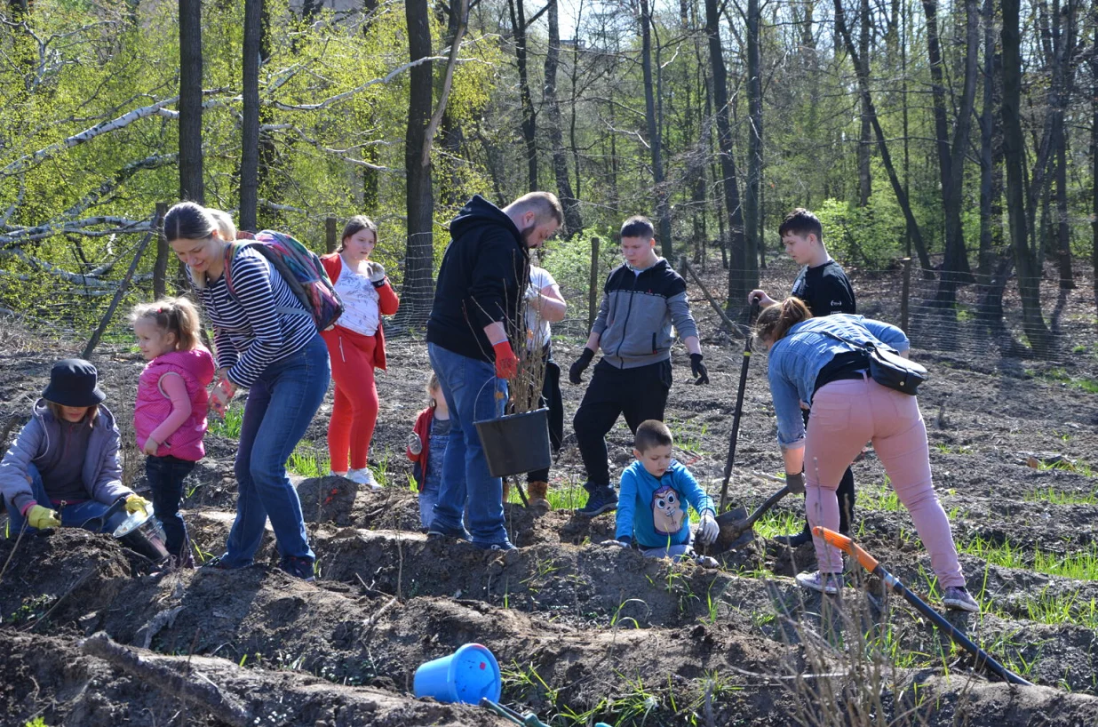 W Zabrzu zasadzono kolejne drzewa. Tym razem w dzielnicy Helenka!