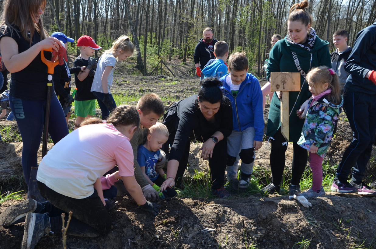 W Zabrzu zasadzono kolejne drzewa. Tym razem w dzielnicy Helenka!