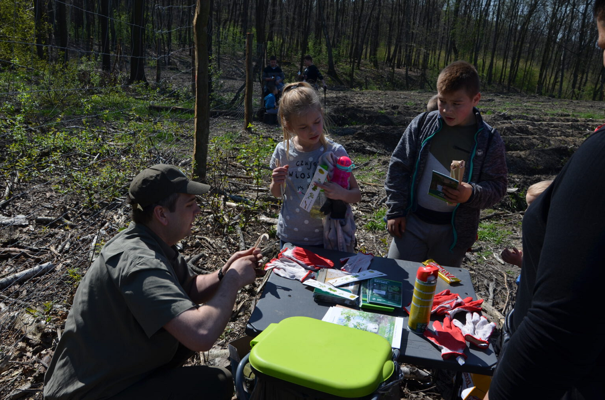 W Zabrzu zasadzono kolejne drzewa. Tym razem w dzielnicy Helenka!