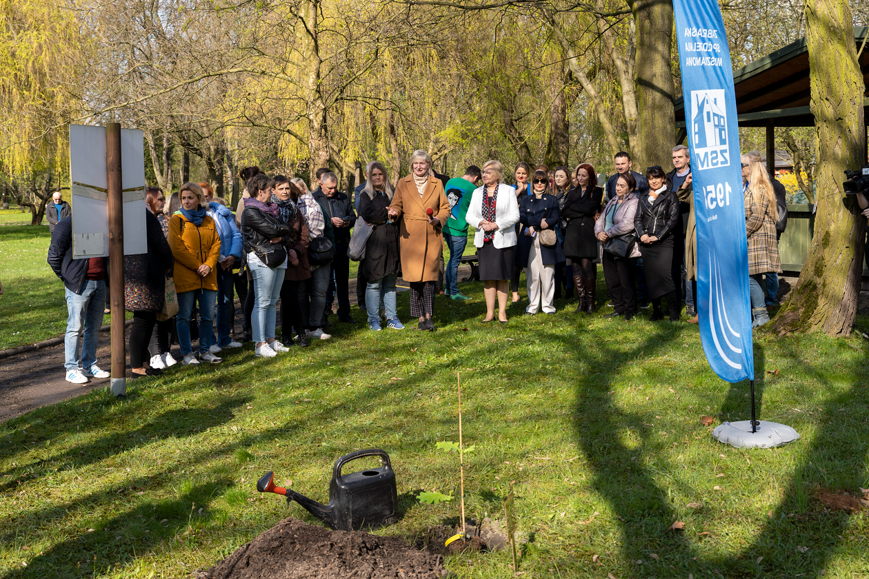 W Miejskim Ogrodzie Botanicznym posadzono sadzonkę dębu "Bartek"