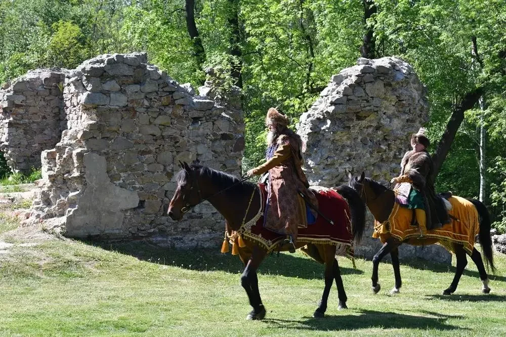 Kolejne wydarzenie historyczne na ruinach Zamku Rudzkiego. Usłyszymy o dawnych Słowianach