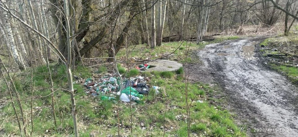 W mieście przybywa dzikich wysypisk. Jak z nimi walczyć?