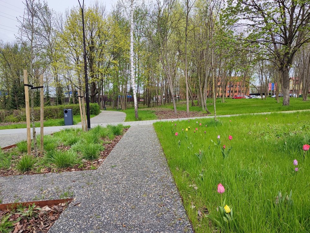 Nasadzenia kwiatów 4