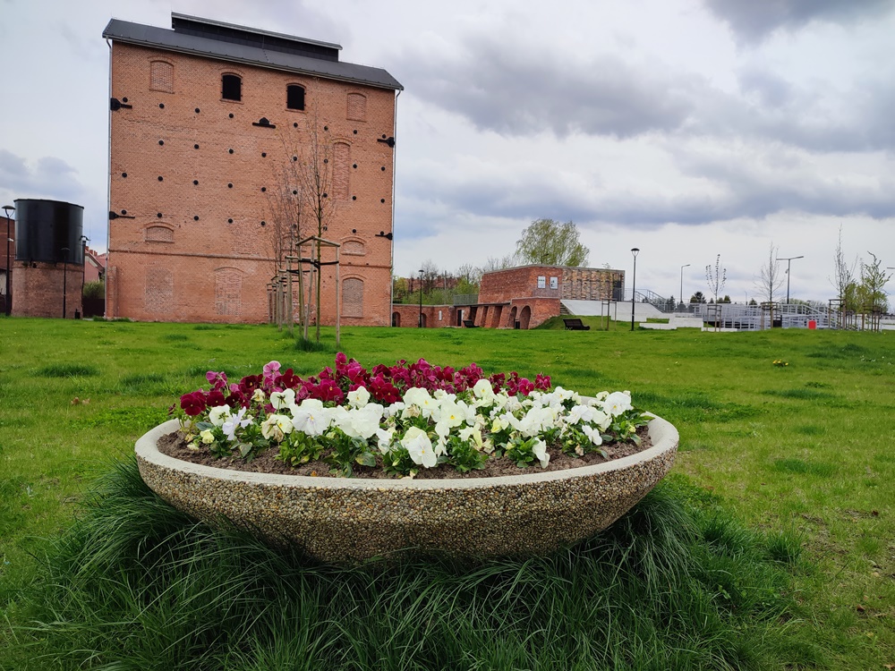 Nasadzenia kwiatów 5