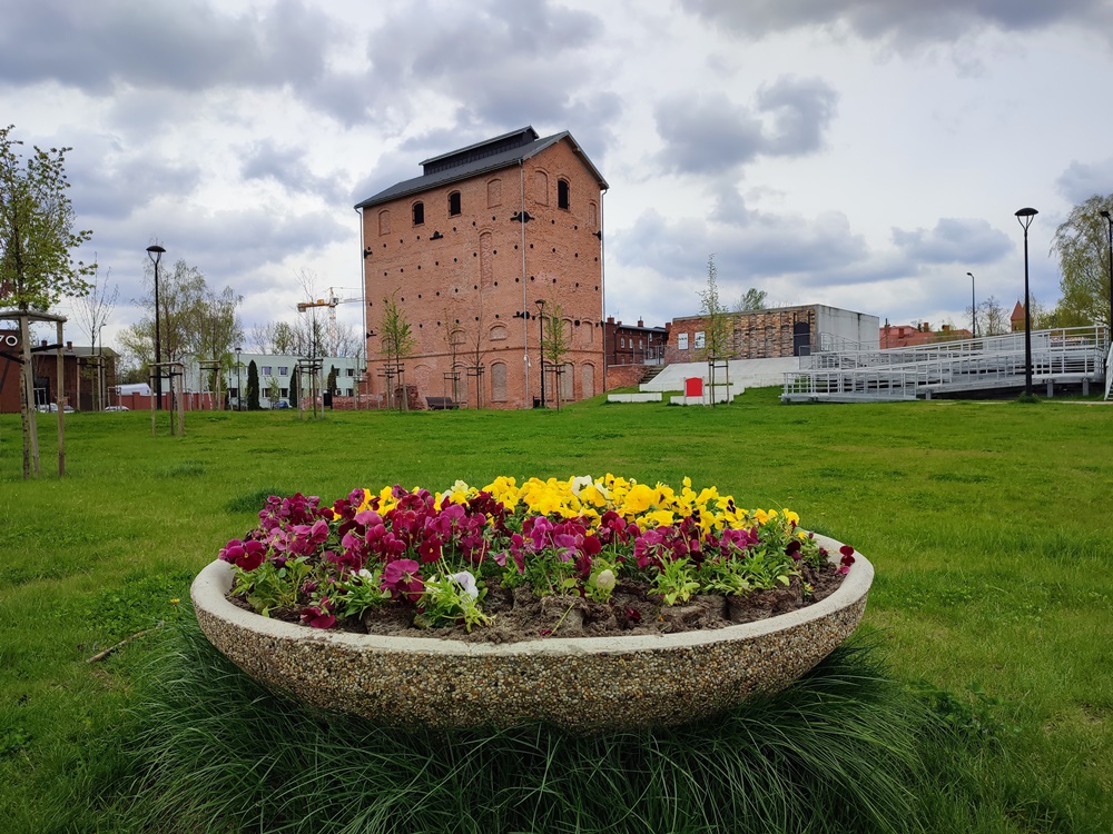 Nasadzenia kwiatów 7