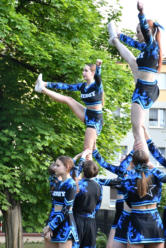 XIII Festyn Rodzin Zastępczych 78