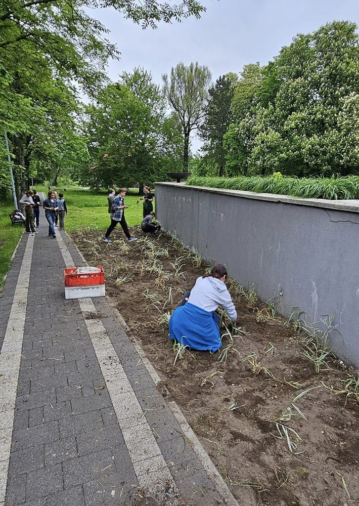Roślinna (r)ewolucja na plantach 2