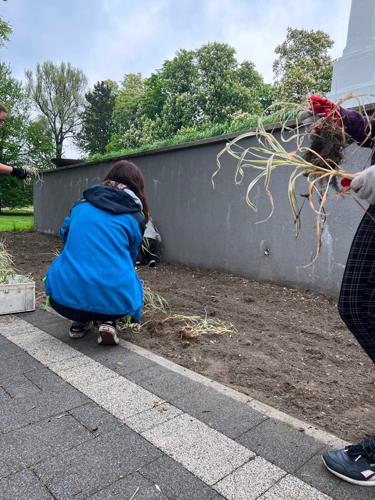 Roślinna (r)ewolucja na plantach 5