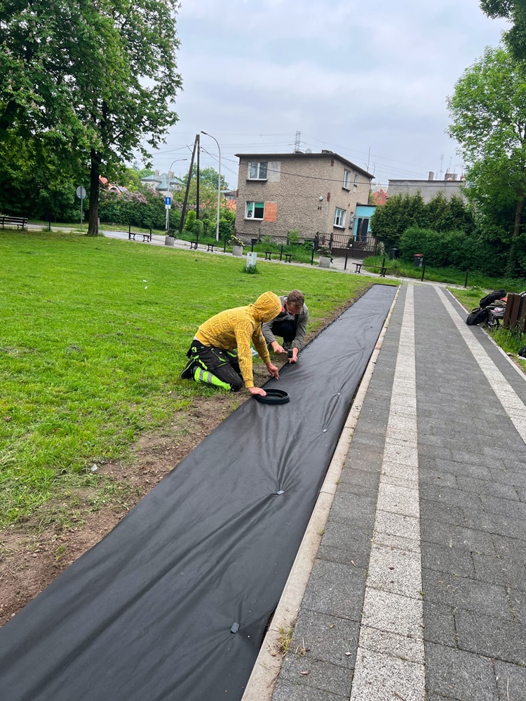 Roślinna (r)ewolucja na plantach 6