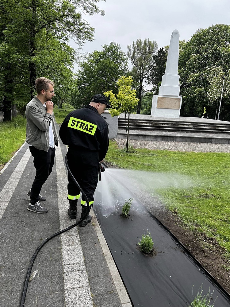 Roślinna (r)ewolucja na plantach 8