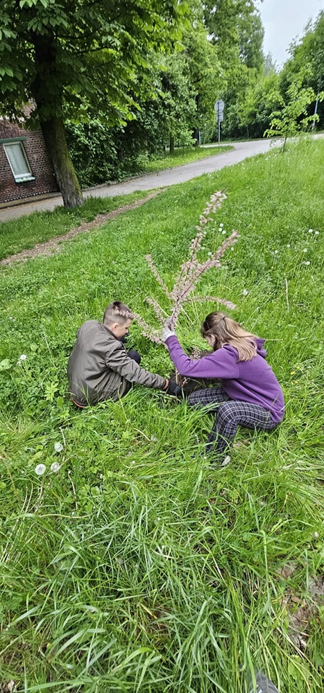 Roślinna (r)ewolucja na plantach 9