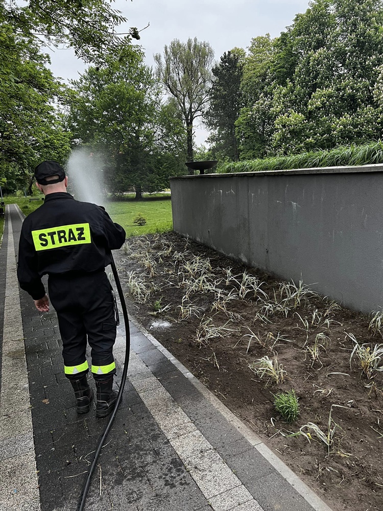 Roślinna (r)ewolucja na plantach 10
