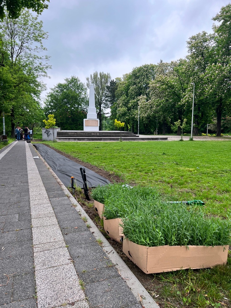 Roślinna (r)ewolucja na plantach 11