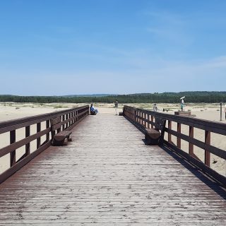 Pustynia Błędowska – miejsce idealne na spacer oraz relaks!