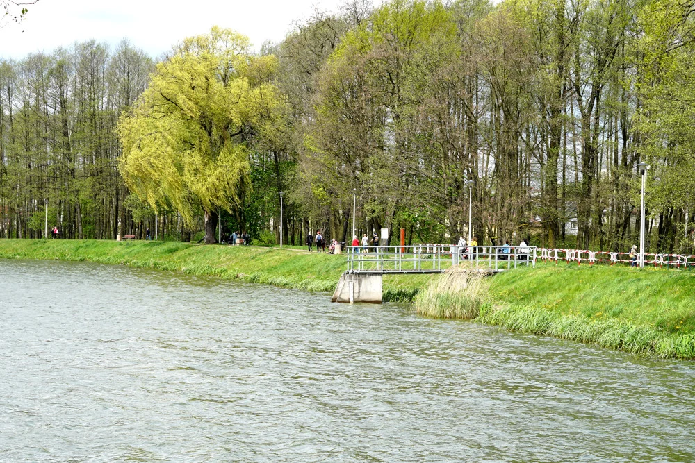 51.JPG
