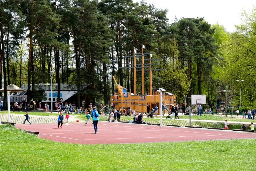 53.JPG