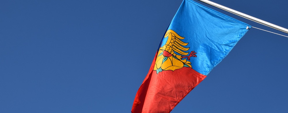 Jakimi środkami dysponują Rady Dzielnicy w Wodzisławiu Śląskim? Sprawdź!