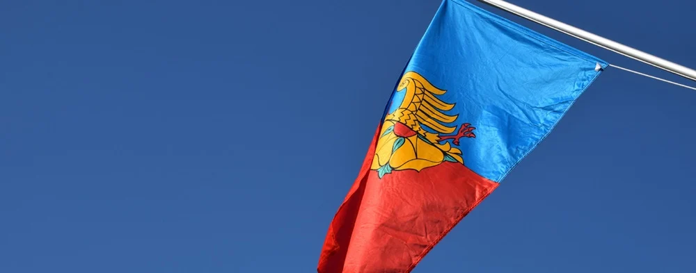 Jakimi środkami dysponują Rady Dzielnicy w Wodzisławiu Śląskim? Sprawdź!
