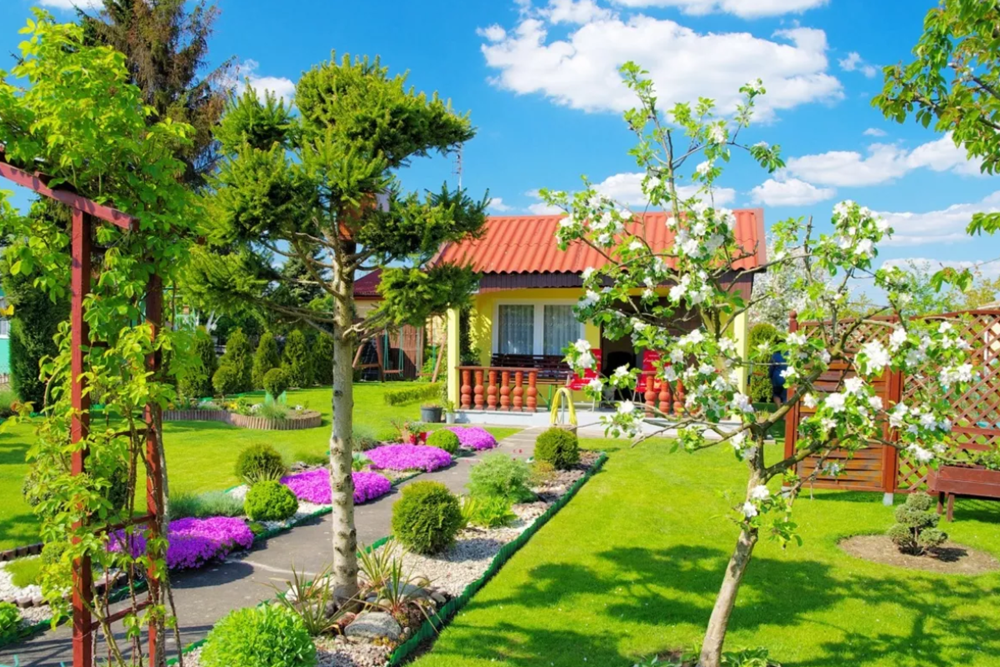 Siemianowickie Rodzinne Ogrody Działkowe otrzymały dotację!